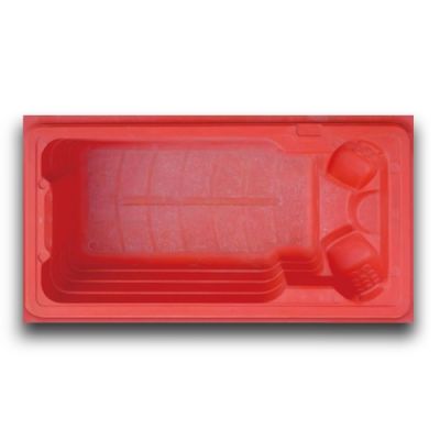 Swim Spa Molds