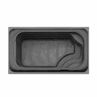 Swim Spa Molds