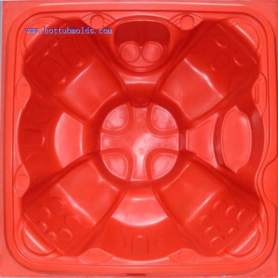 spa mold 27